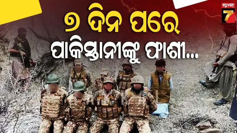 one-person-died-in-elephant-attack