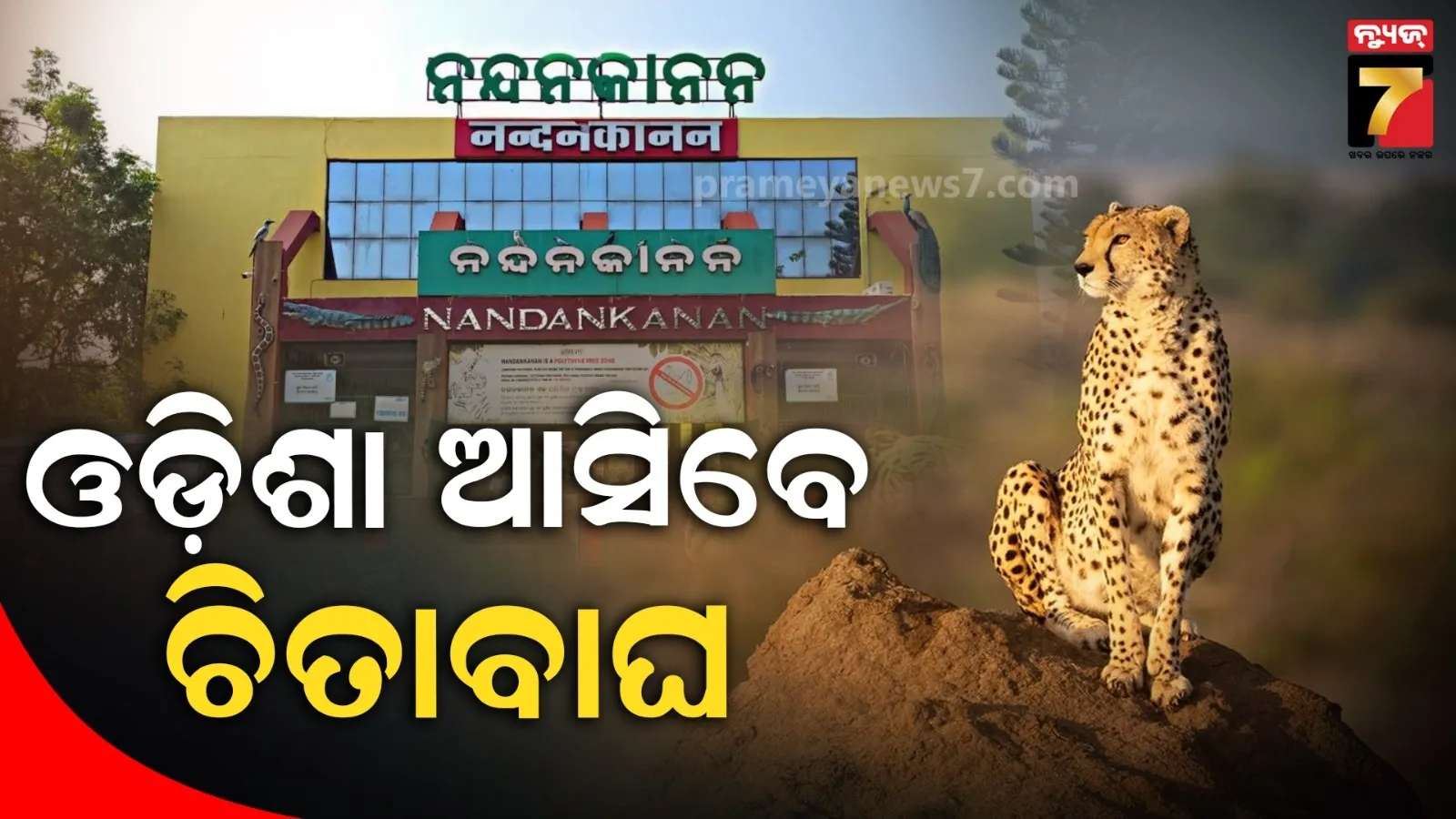 youth-missing-family-allegation-murder-in-kalahandi