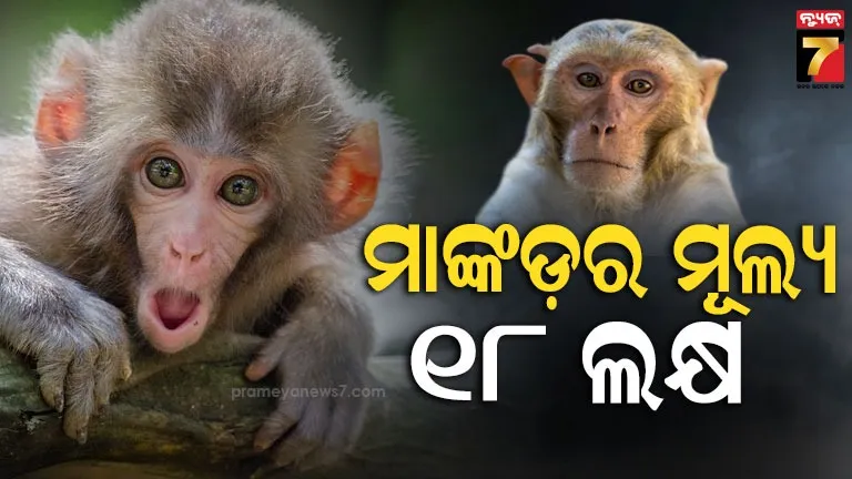 congress-presidential-election-monday