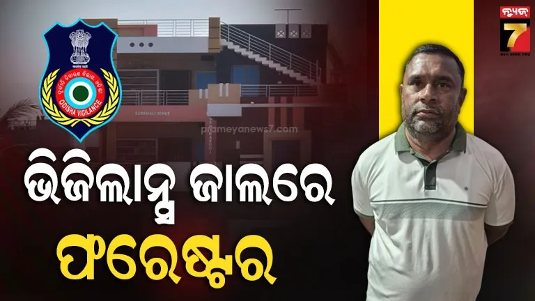 5-superfoods-fight-iron-deficiency-dlnk