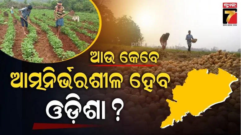 odisha failed sufficient potato production