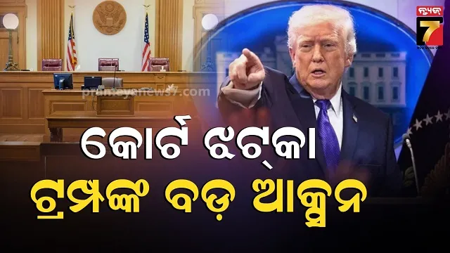 stree--2-broke--shaharukh-jawan-record-and-achieve-hindi-higest-grossing-film-