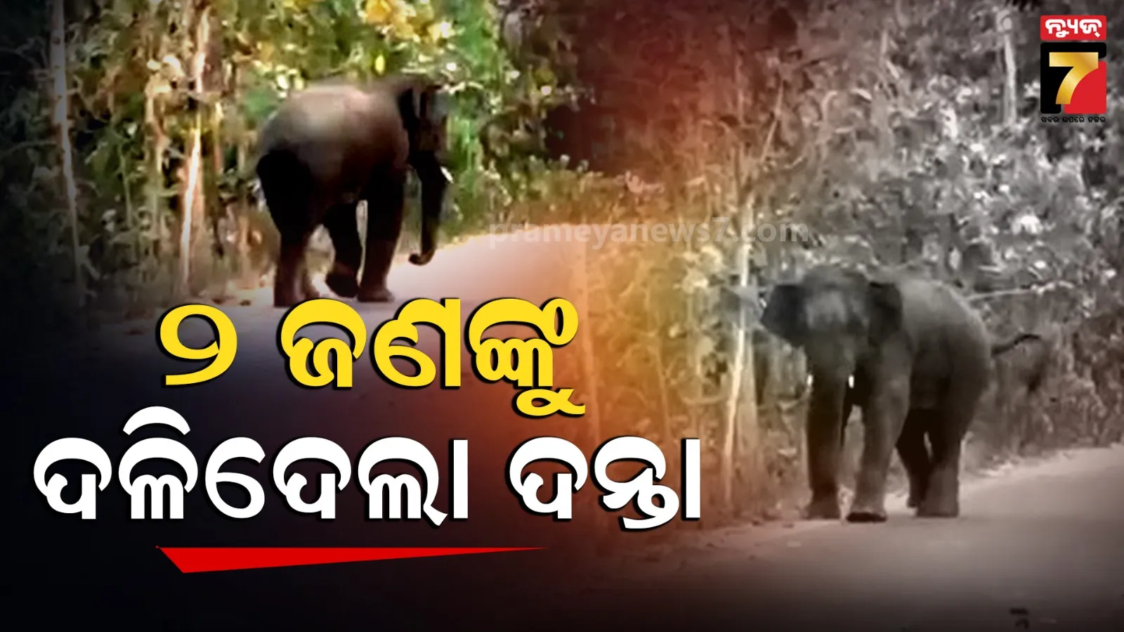 bjp-president-amit-shah-to-visit-odisha-on-1st-april