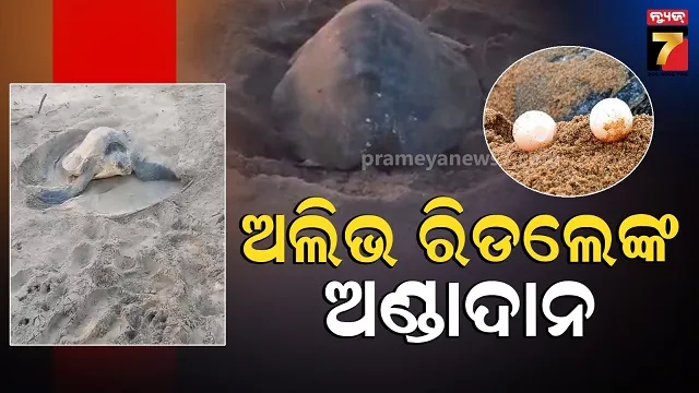 naveen-pattanaik-reaction-on-different-issue