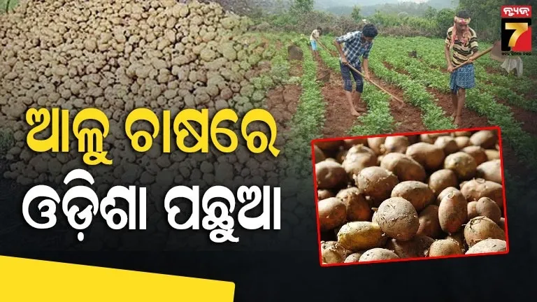 85-year-old-dadi-is-winning-internet-with-her-cool-cooking-lessons