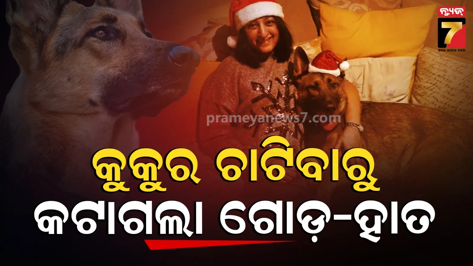 UK woman lost all four limbs