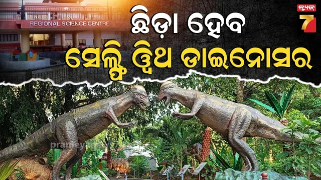 ratha-katha-anukula-at-ritual-at-sabar-srikhetra