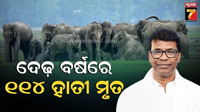 5-arrested-while-robbery-plan-police-seized-guns-and-weapons