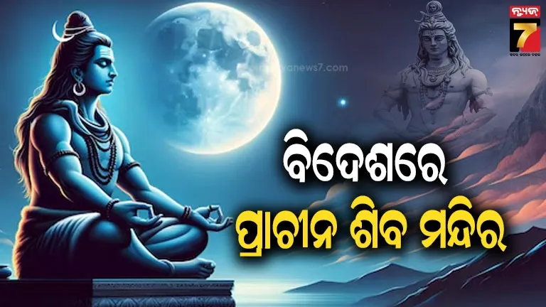 cow-eating-chicken-in-maharastra-video-gone-viral