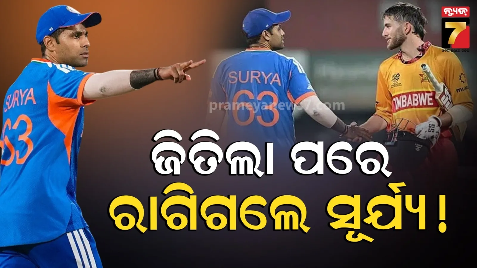 sea-cockroach-found-bottom-ofrom-the-indian-ocean