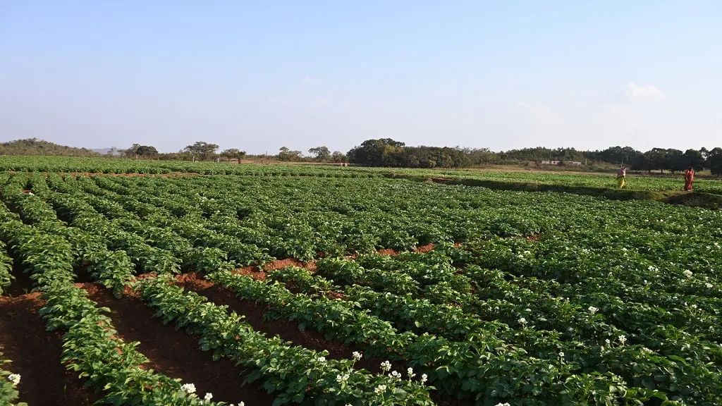 youth-injured-in-unknowns-firing-at-tarabha