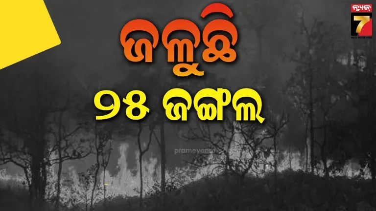 ହୁତୁ ହୁତୁ ହୋଇ ଜଳୁଛି ଜଙ୍ଗଲ, ୨୫ ଜଙ୍ଗଲରେ ଲାଗିଛି ବଡ଼ ଆକାରର ନିଆଁ