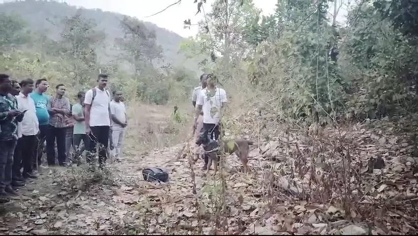 west-indie-beat-australia-by-16-runs-in-5th-t-20i-match-evin-lewis-player-of-the-match