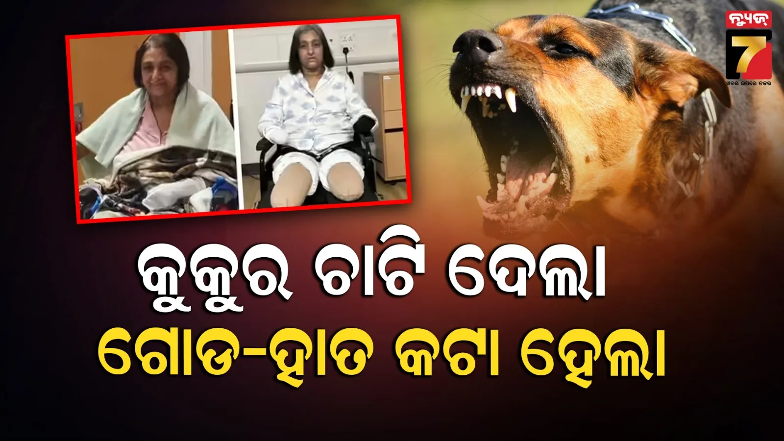 wayanad-landslide-rescue-operation-4-people-rescued-alive