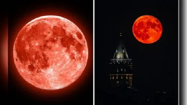 rathayatra-meeting-held-at-puri-temple