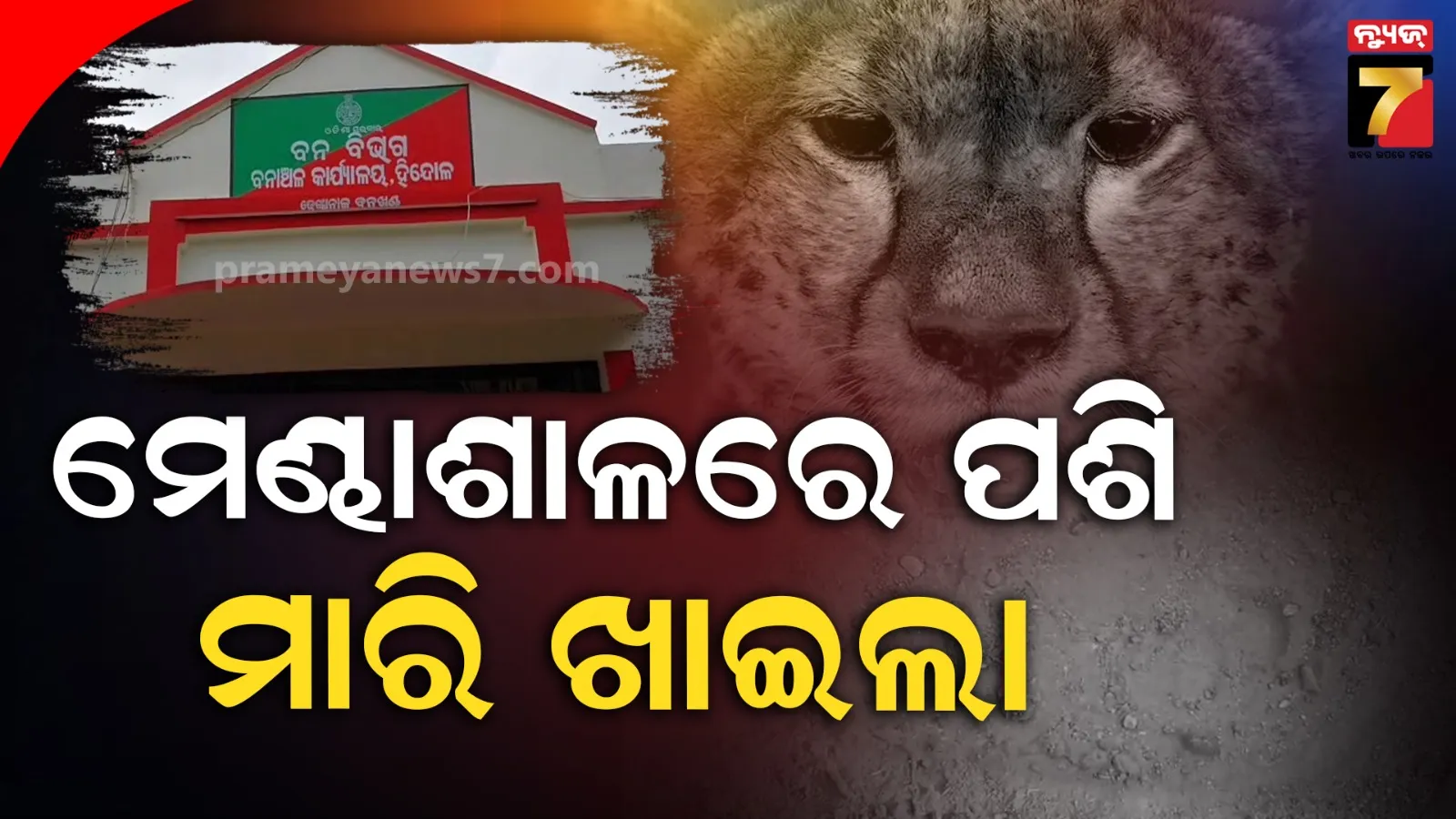 naveen-patnaik-deep-condolence-to-sushant-singh-rajput-suicide