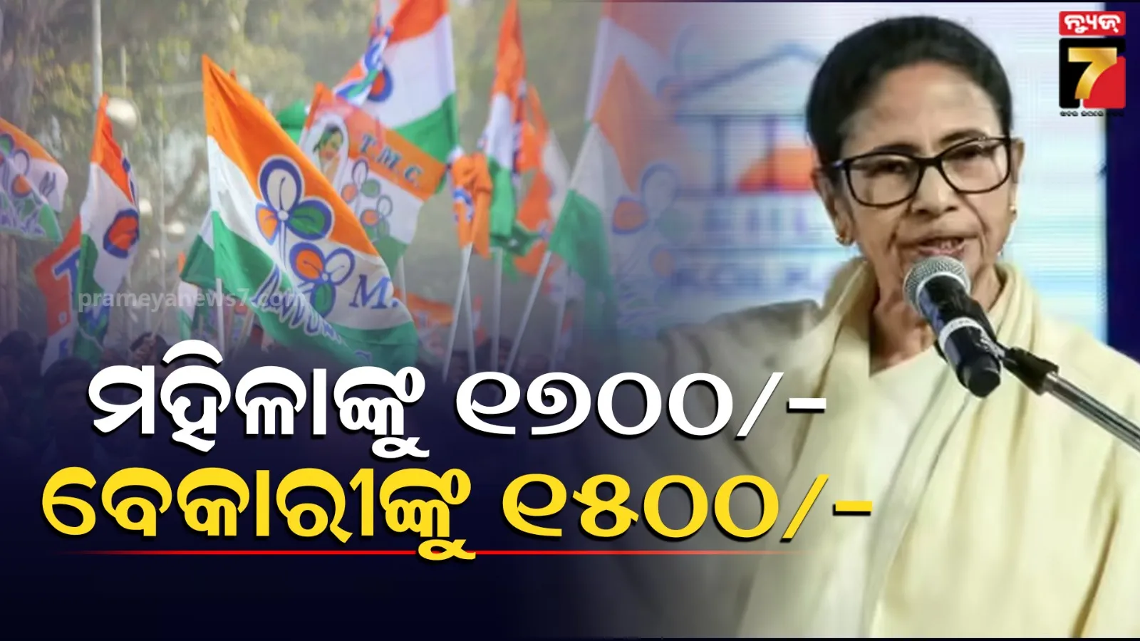 baby-elephant-sick-in-forest-range-in-keonjhar