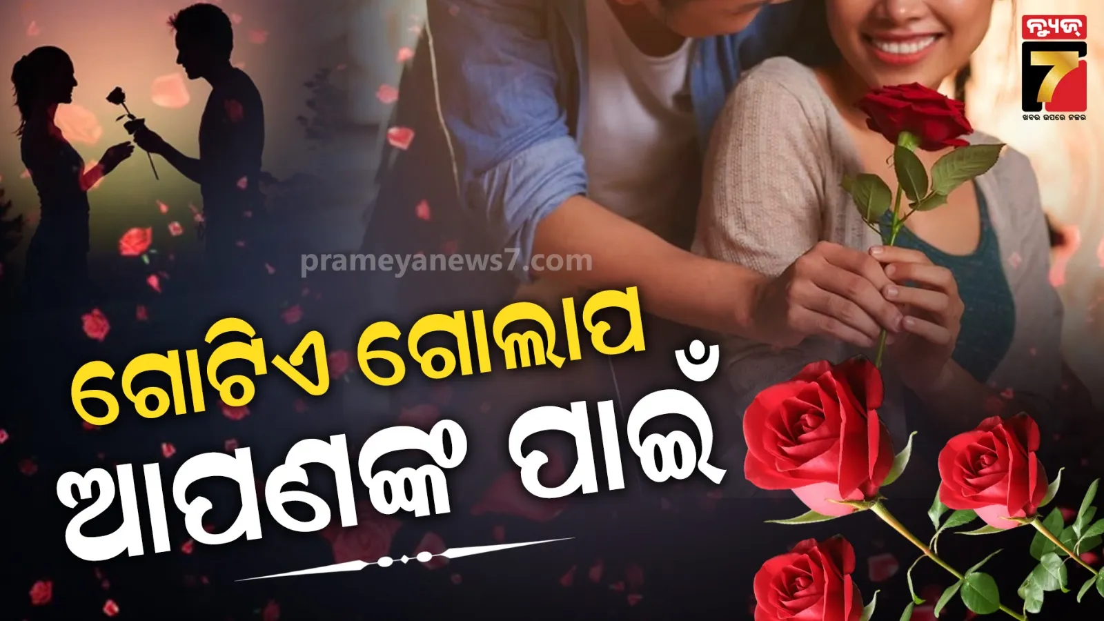 will-jackss-brilliance-with-ball-and-bat-helped-mumbai-defeat-hyderabad-by-4-wickets