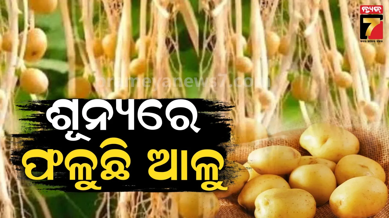 minister-nityananda-reaction-on-odisha-assembly