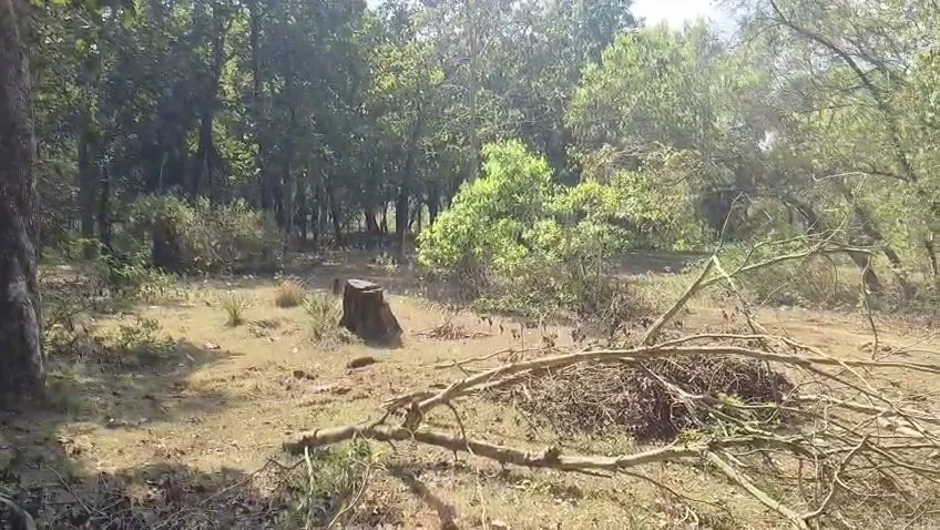 more-than-340-civilians-killed-in-syria-know-why