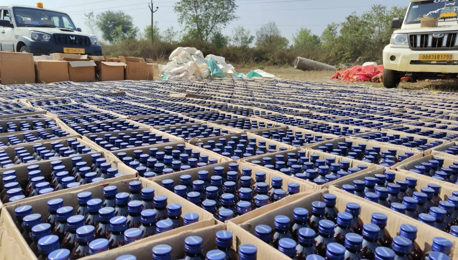 young-lady-raped-and-murder-by-lover-in-bhubaneswar