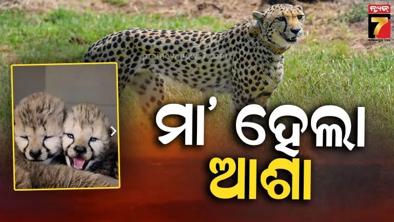 mamata--banerjee-big-jolt-to-congress-says-part-have-no-existence-in-west-bengal-