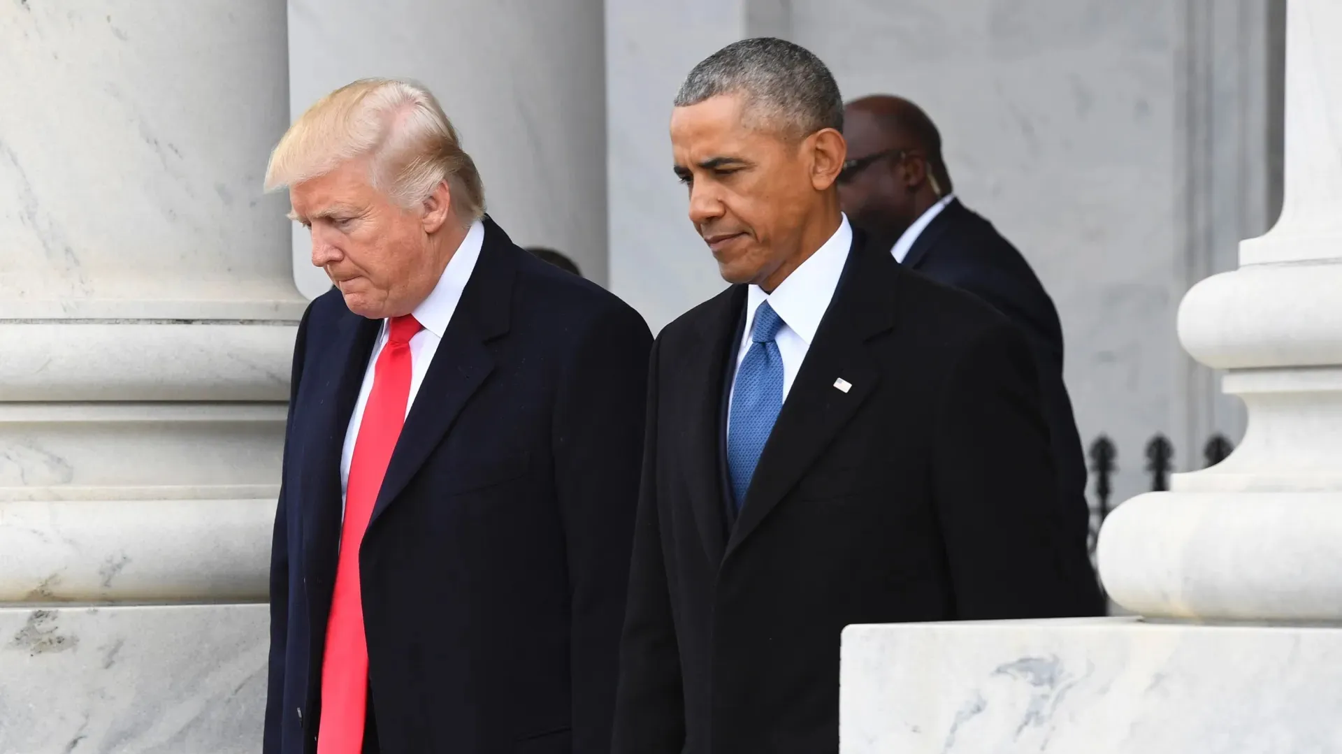 dolphin-conting-begins-in-chilika-