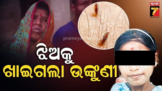 ଲଣ୍ଡାହେବାକୁ କହିଲା ମାଆ ଶୁଣିଲାନି ଝିଅ: ଖାଇଗଲେ ଖପୁରୀ, ଚାଲିଗଲା ଜୀବନ