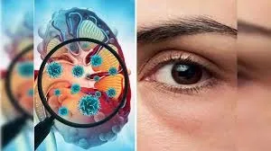 two-person-lost-his-life-in-mohana