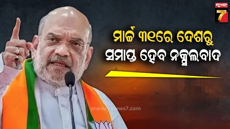 thousands-of-dead-chickens-fell-on-the-streets-for-fear-of-bird-flu