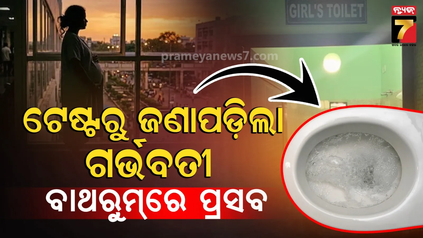 Woman Gives Birth in Toilet 