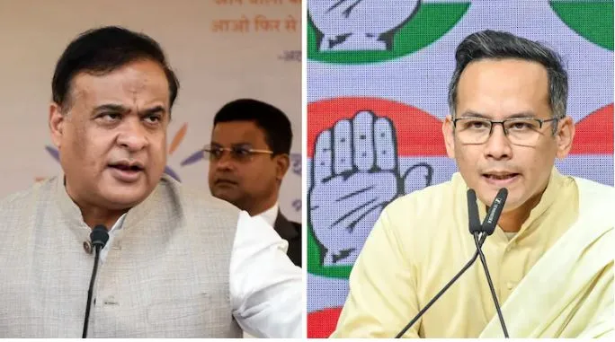 birds-census-report-the-number-of-birds-is-less-this-year