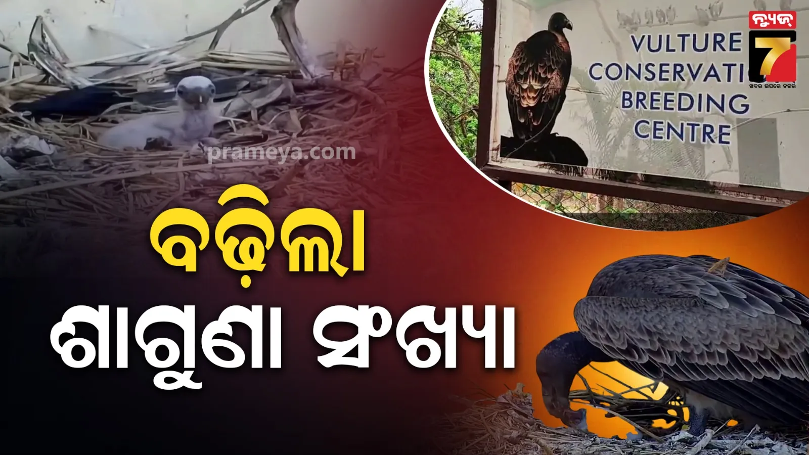 Nandankanan Zoological Park