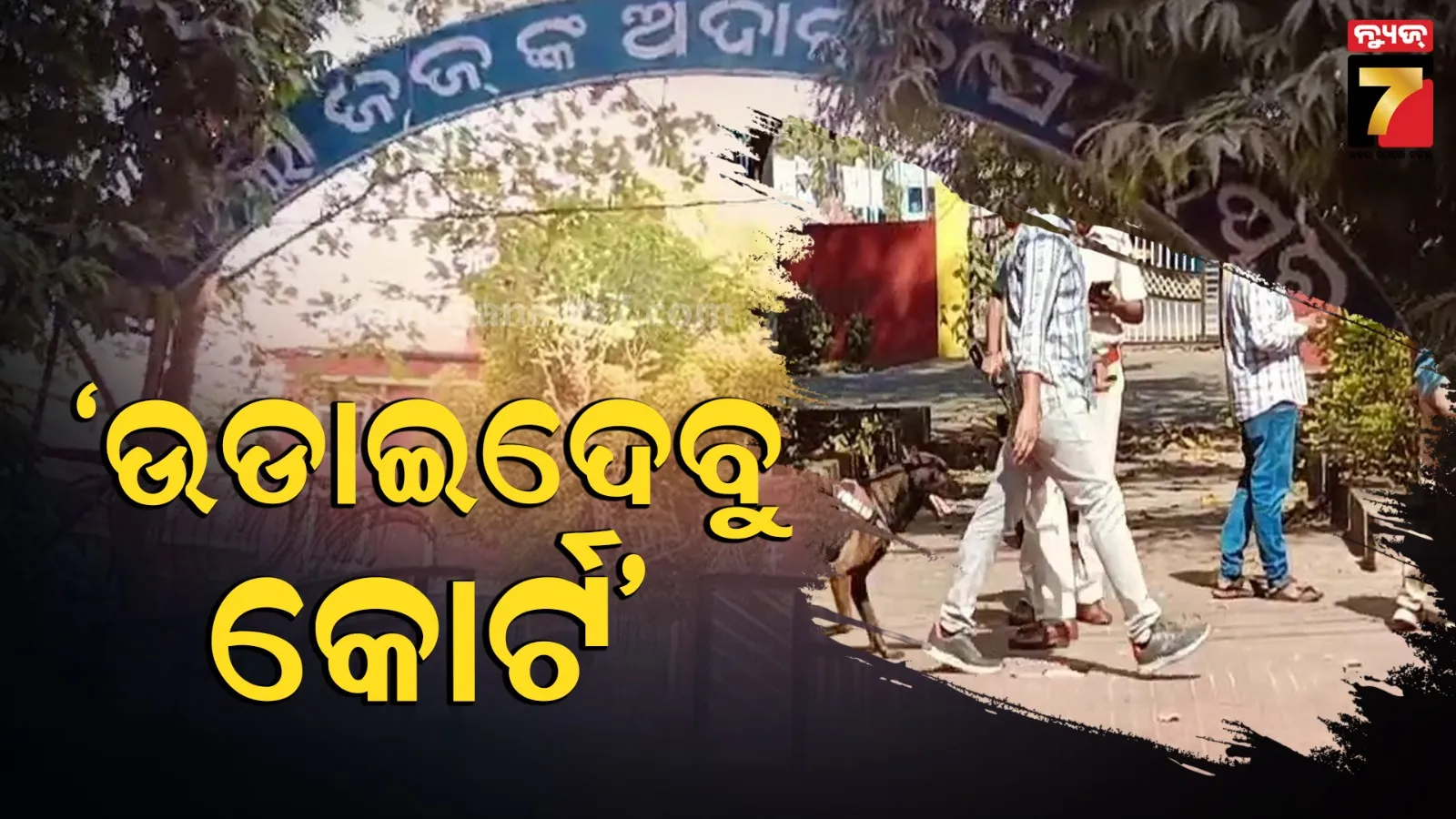 crime-branch-arrested-3-person-as-accused-for-elephant-death-in-dhenkanal