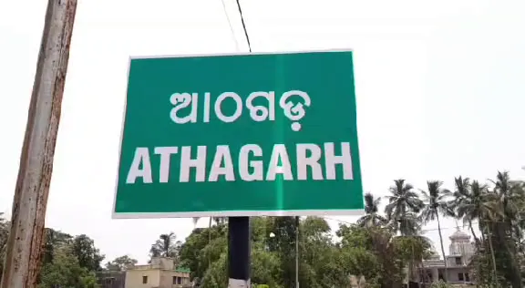 ଆକ୍ରମଣ କଲା ମାଙ୍କଡ଼, ଛାତରୁ ତଳକୁ ଖସିପଡ଼ିଲେ ମହିଳା