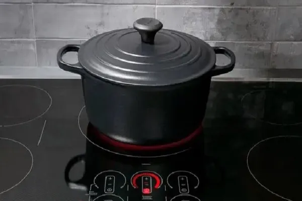 Induction stove explodes in Madhya Pradesh