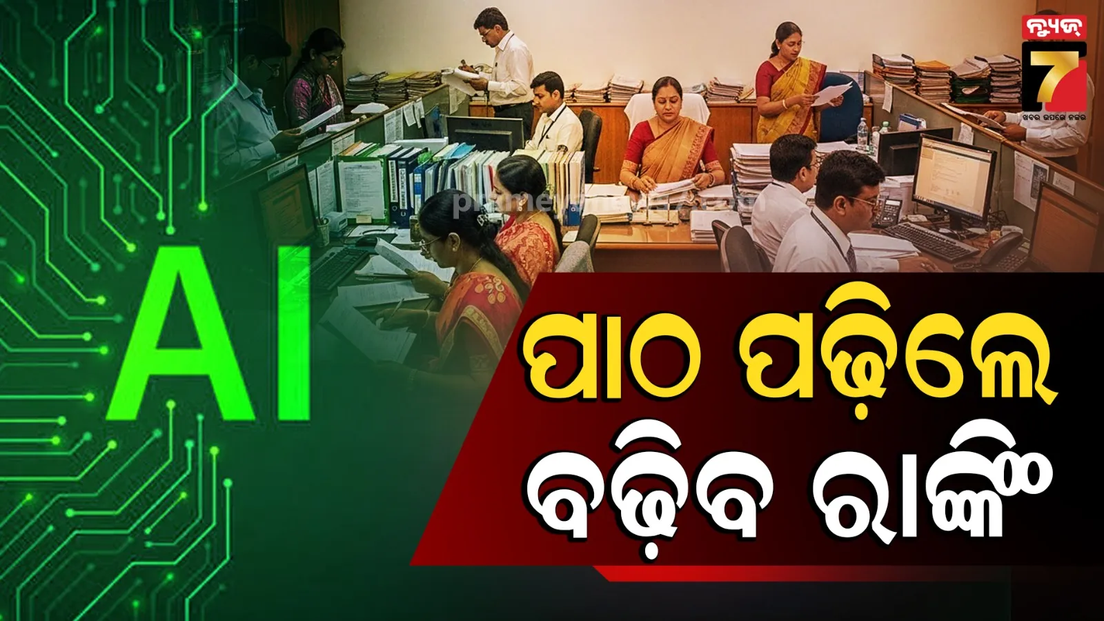 Government Employees