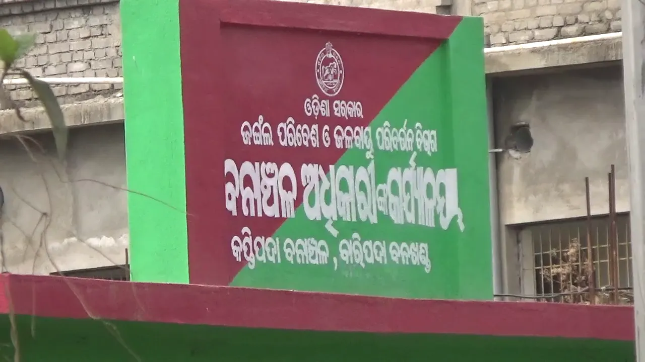 ଶୌଚ ହେବାକୁ ଯାଇଥିଲେ, ଭାଲୁ ହାବୁଡ଼ରେ ପଡ଼ି ୩ ଗୁରୁତର