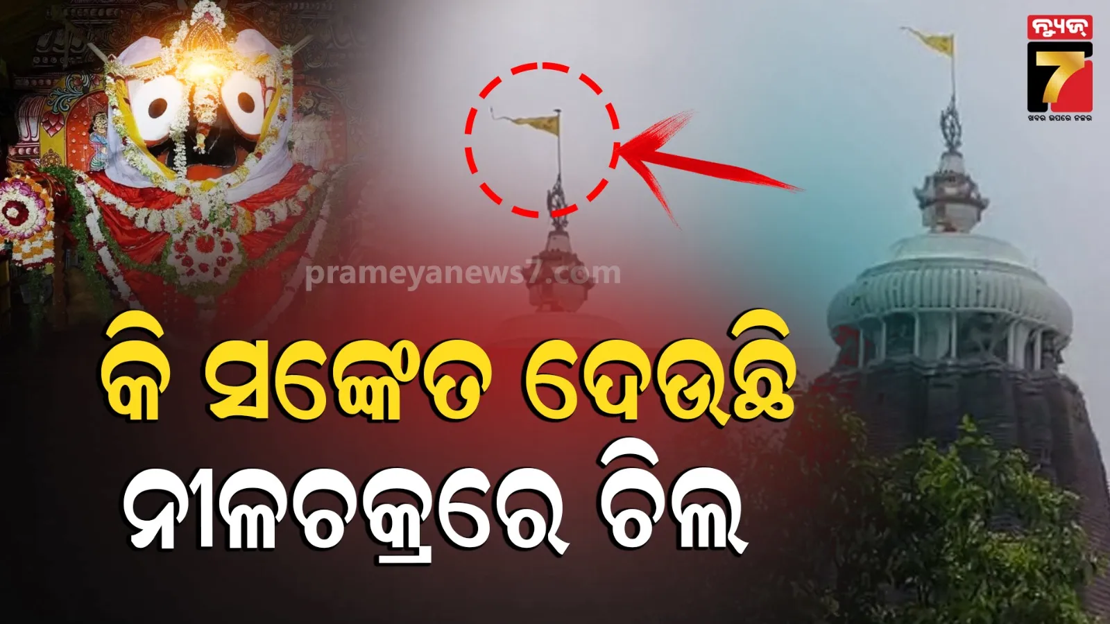 Shree Mandira: ଶ୍ରୀମନ୍ଦିର ନୀଳଚକ୍ର ଉପରେ ବସିଲା ଚିଲ, ଅଶୁଭ ସଙ୍କେତ ବୋଲି କହୁଛନ୍ତି ସେବାୟତ