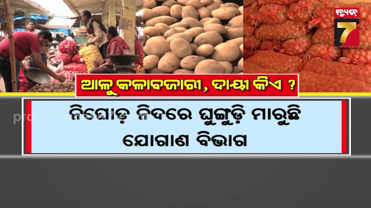 Potato Black Marketing 