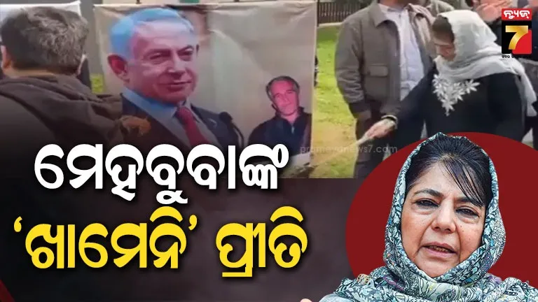 andhra-wood-mafia-cut-tree-in-odisha