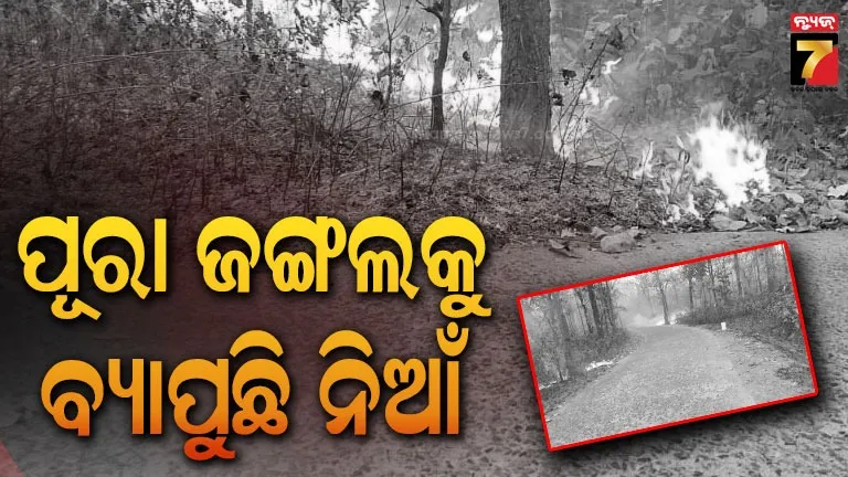 aditi-sharma-to-file-for-divorce-after-4-months-of-marriage