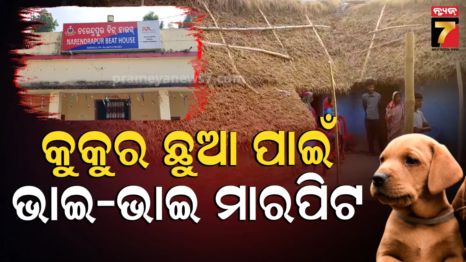 କୁକୁର ଛୁଆକୁ ମାଡ଼ ବେଳେ ପ୍ରତିବାଦ କରି ଝିଆରୀ ଆକ୍ରମଣର ଶୀକାର, ବଡ଼ ଭାଇର ତେଣ୍ଟା ମାଡ଼ରେ ସାନ ଭାଇ ଗୁରୁତର