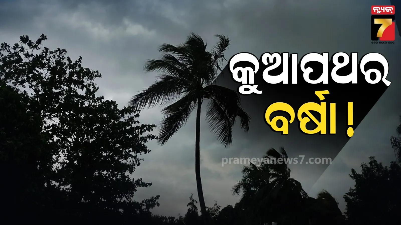 five-people-lost-their-lives