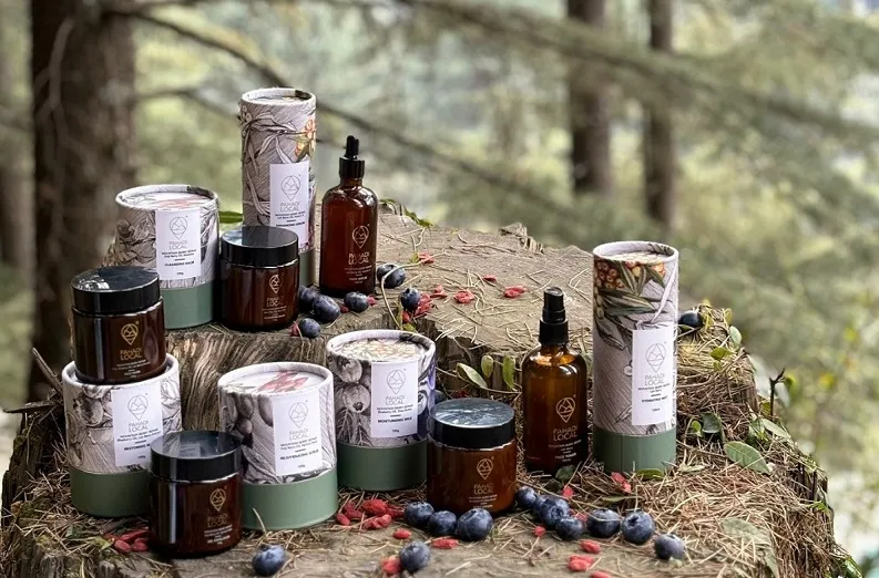 ipls-brand-value-sees-spectacular-boom-soars-by-13pc-to-reach-12-billion-usd