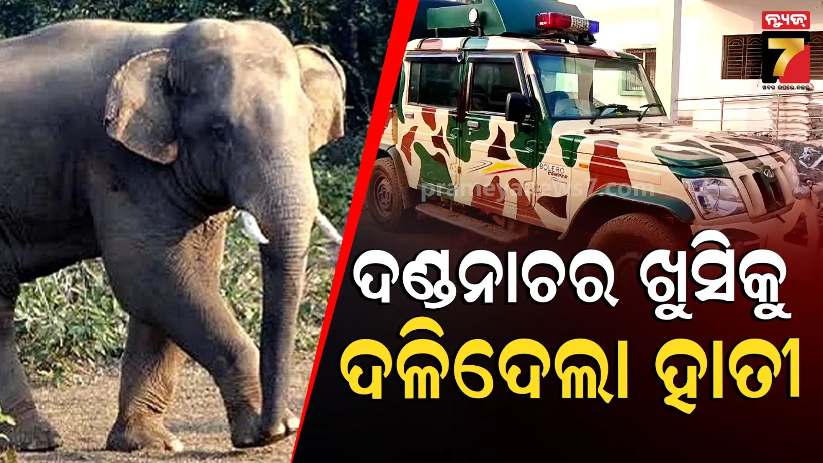 ଦଣ୍ଡନାଚ ଦେଖି ଫେରୁଥିଲେ ପୁରା ପରିବାର, ରାସ୍ତାରେ ହାତୀ ହାବୁଡ଼ରେ ପଡ଼ିଲେ