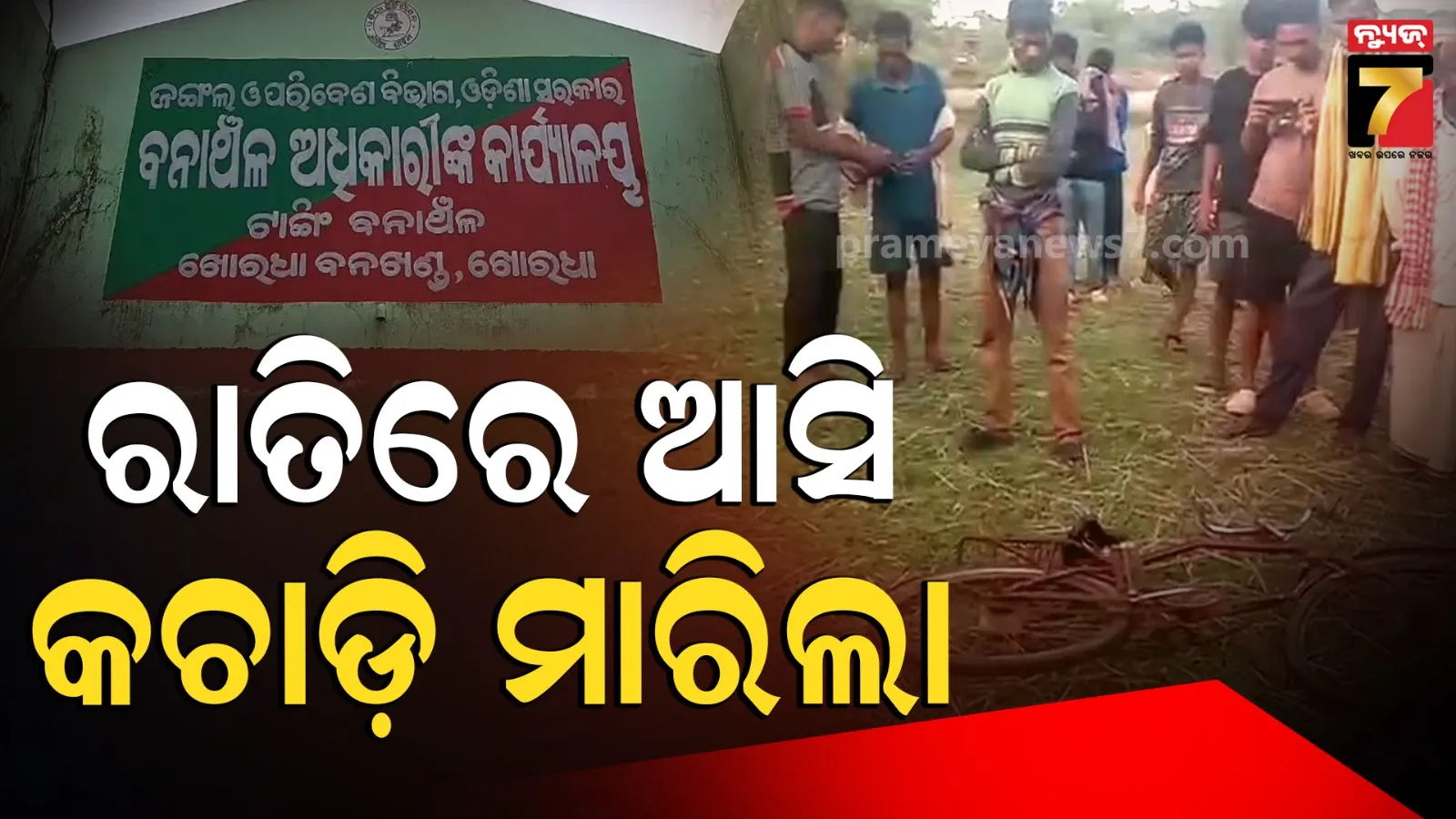 Tangi News