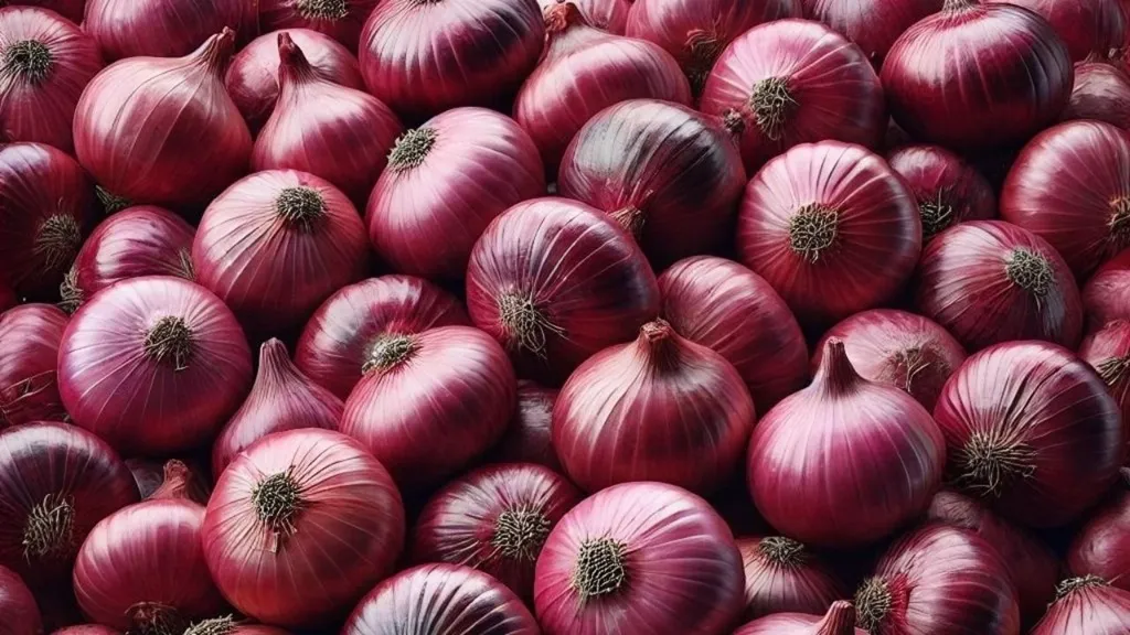 Onion