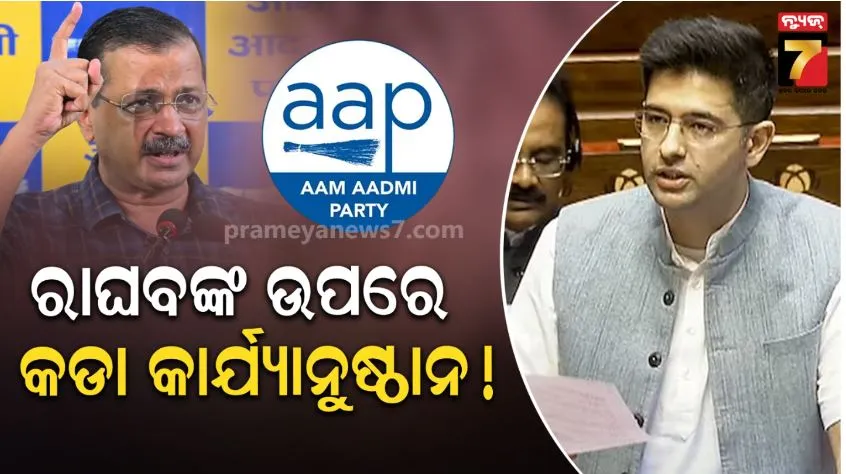 Raghav Chadha removed as AAP's Rajya Sabha deputy leader