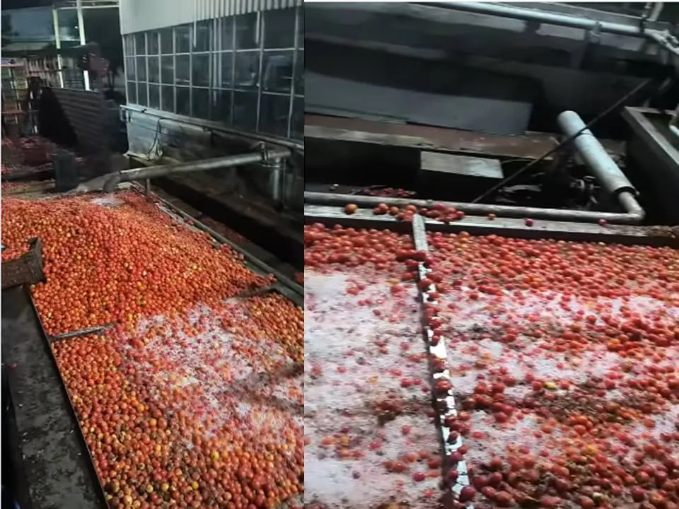 Viral Tomato Ketchup Video